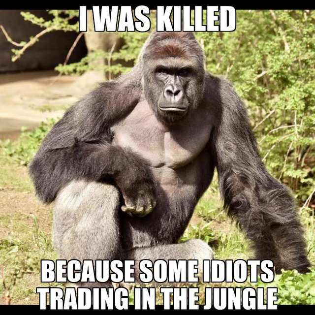 Trading in Jungle.JPG