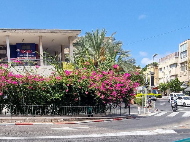 20250902_132433.jpg
