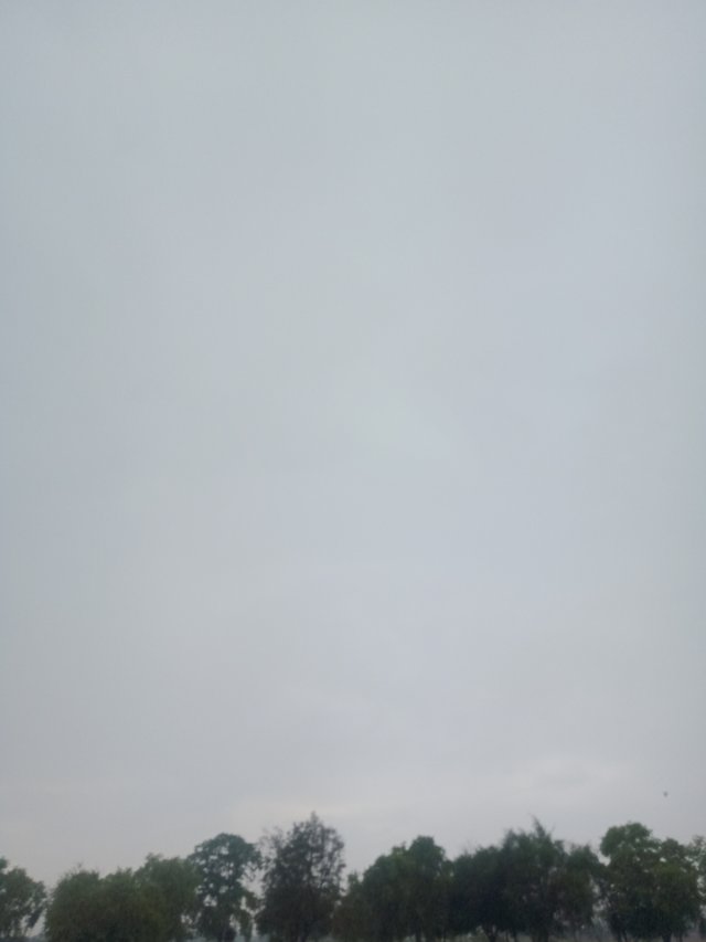 IMG20210620152040.jpg