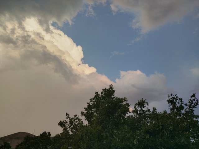 IMG_20250825_192609_HDR.jpg