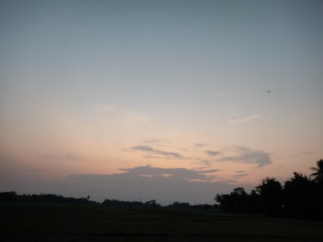 IMG_20250610_012804_967.jpg
