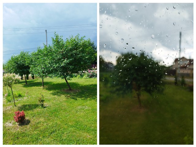 20250629_153829-COLLAGE.jpg