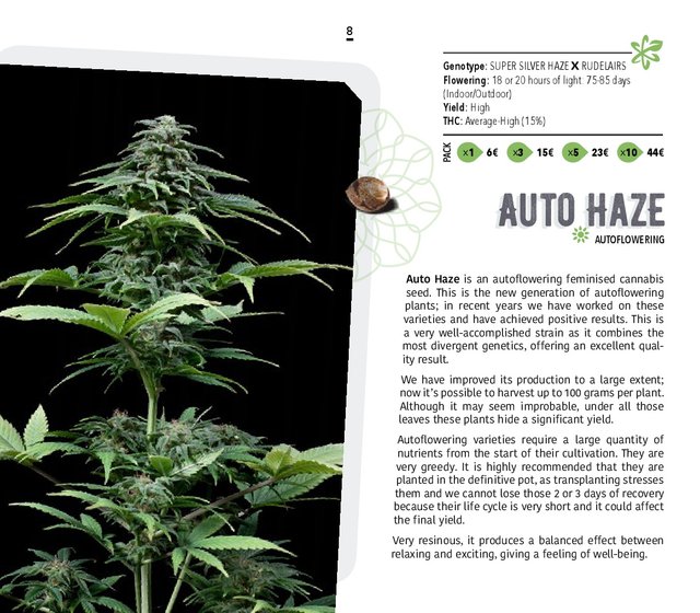 Atomik-Seeds-Catalog-autoflowering-and-feminised-cannabis-seedbank-008.jpg