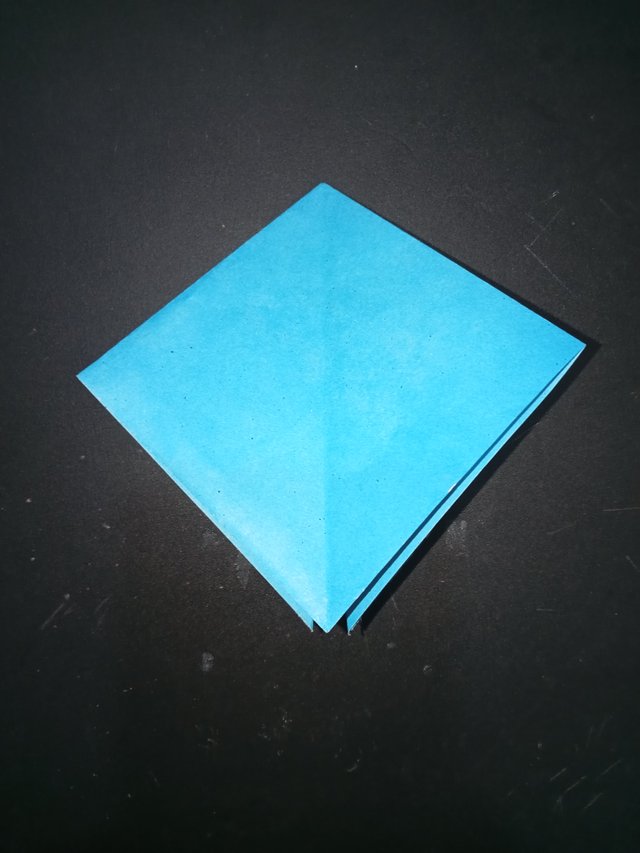 1000029894.jpg