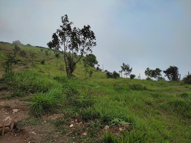 IMG_20250610_102806.jpg