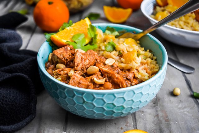 Cocoa Peanut Mole Jackfruit & Cilantro Orange Rice (Vegan+GF)-6.jpg