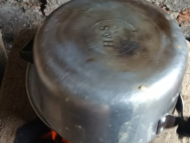 1000013473.jpg