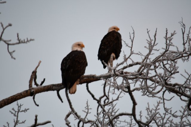 004 1-9-19 waiting on sunset.jpg