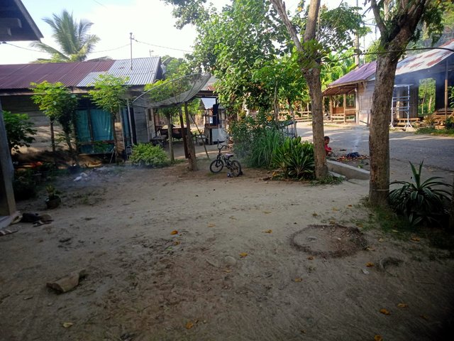 IMG20250729081723.jpg