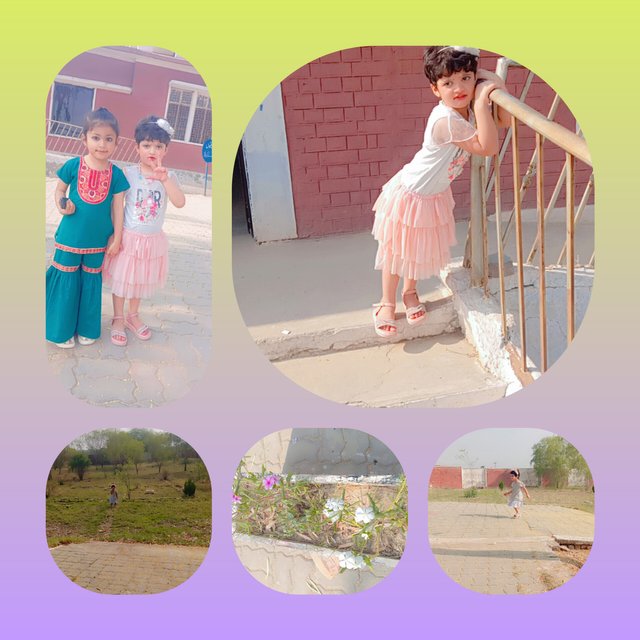 InShot_20250511_173545026.jpg