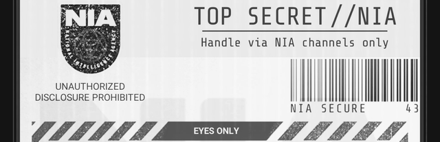 NSA.png