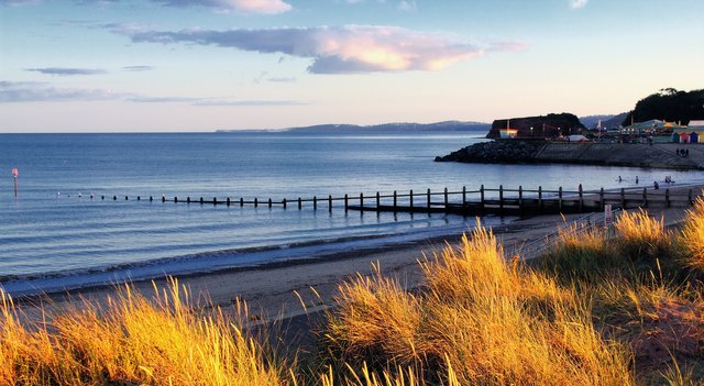 dawlish-843592_1920.jpg