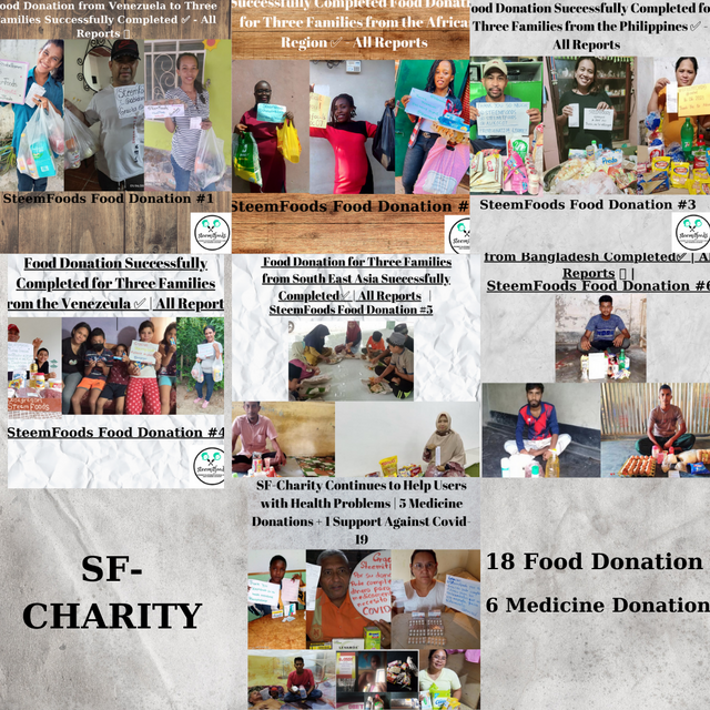 14 Days Report SF-Charity.png