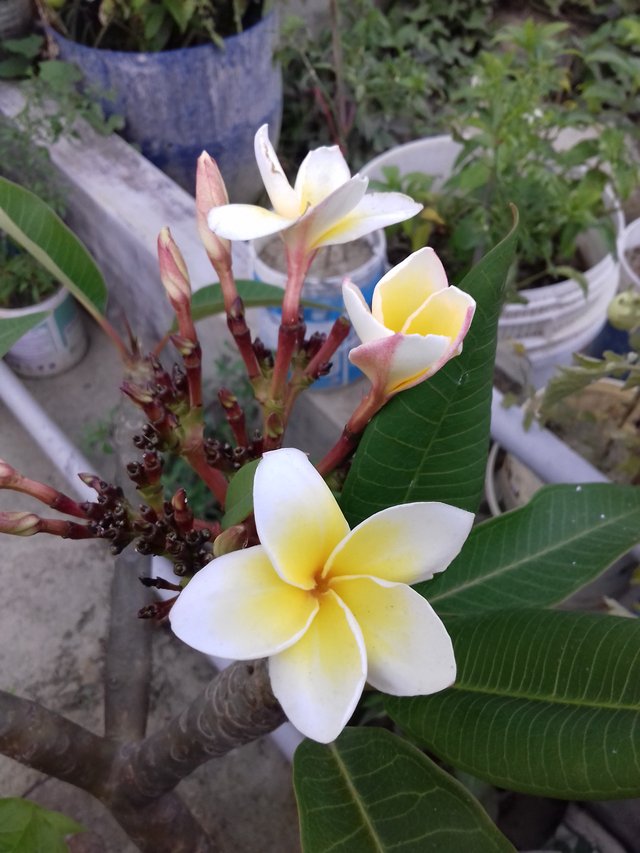 20190407_174912.jpg