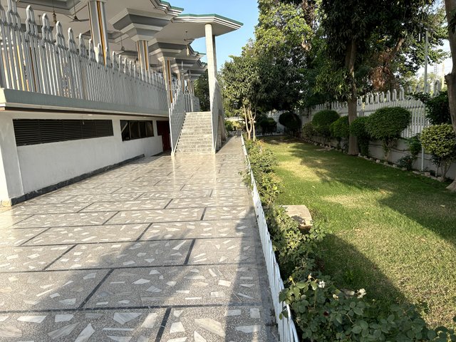 IMG (37).jpg