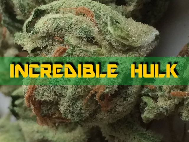 Incredible Hulk.png