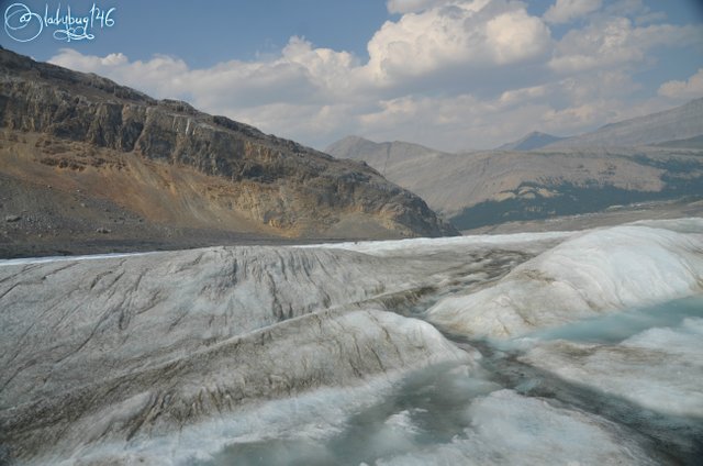 columbia icefields5.jpg