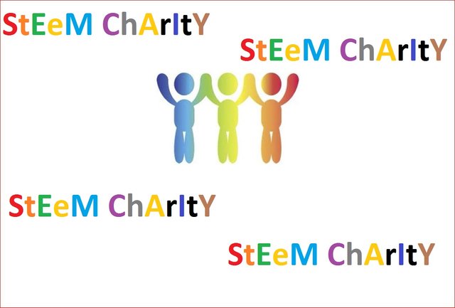 StEeM ChArItY.JPG