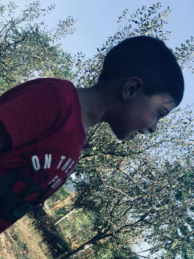 948AB10A-F15F-46A5-825C-46E8687644E6.jpeg