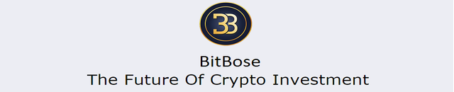 BitBose Logo.png
