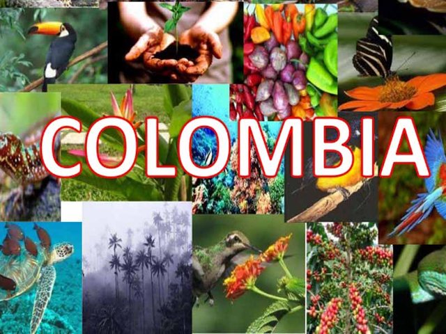 Biodiversidad-de-Colombia-19.jpg