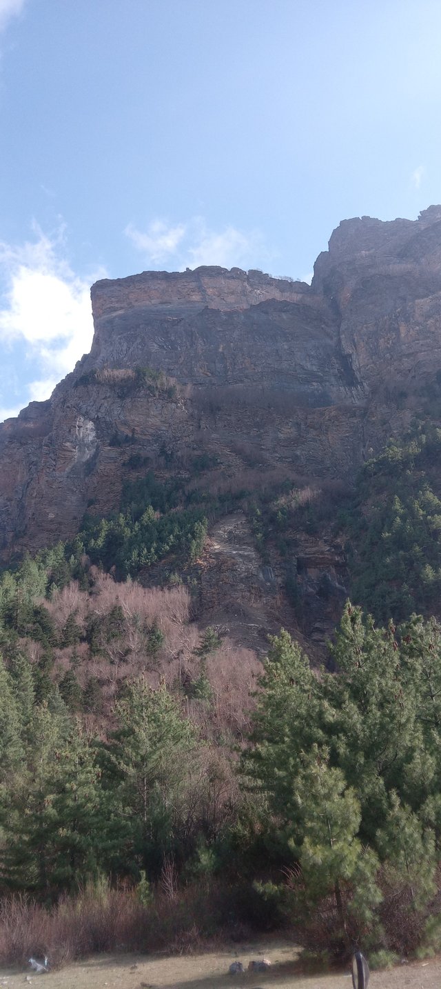 20250503_155512.jpg