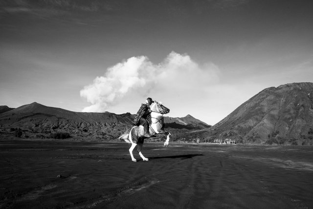 Volcano+Horses+by+Fraser+Morton30-2.jpg