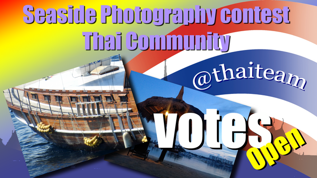 SEaside Photography votes.png