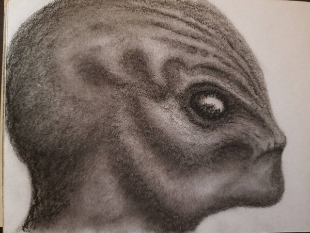 20250423_114141.jpg