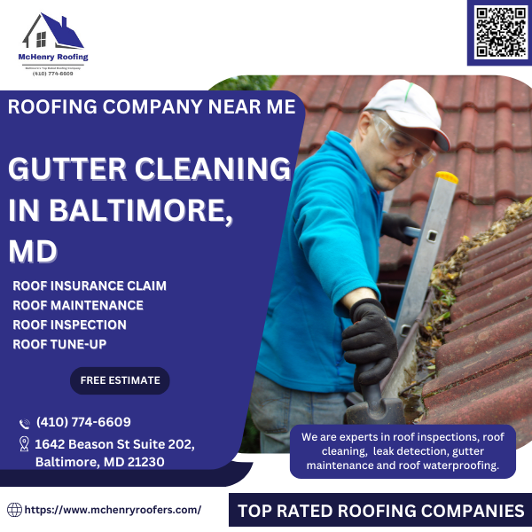GUTTER CLEANING.png