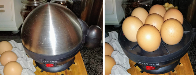 Egg boiler.png
