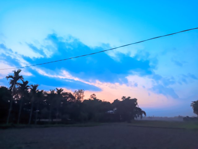 1000022277.jpg