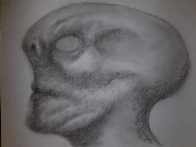 20251026_093005.jpg