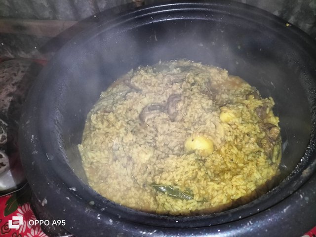 IMG20250309111442.jpg