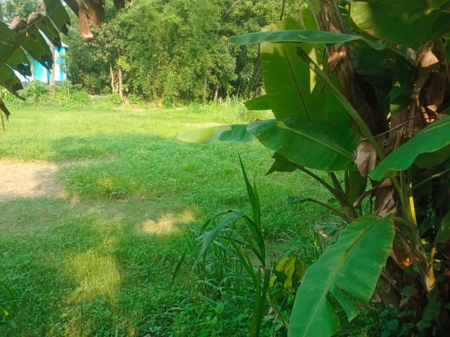 IMG_20250607_160116.jpg