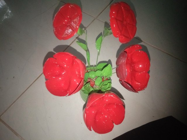 IMG20250615180502.jpg