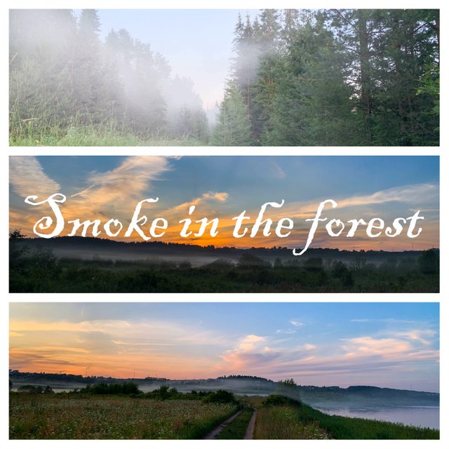 collage20250706.jpg