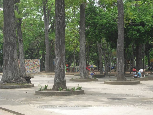 CIMG0055.JPG