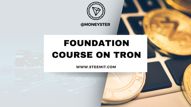 Foundation Course on TRON_20231228_161650_0000.png