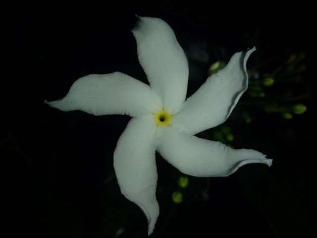 IMG20250728191101.jpg