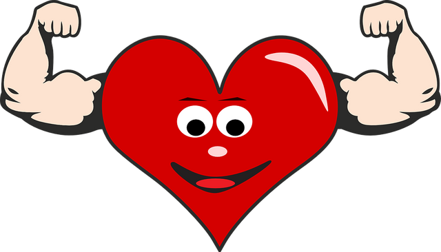 heart-865226_960_720.png