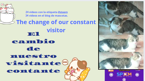 ññ´pelu.PNG
