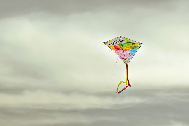kite-2104099_1280.jpg