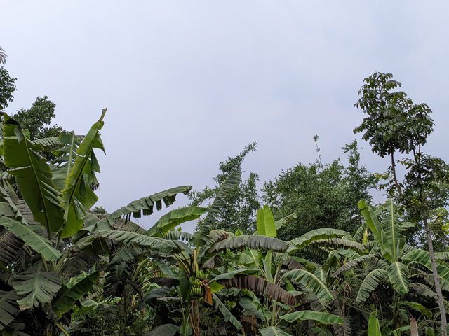 1000030812.jpg