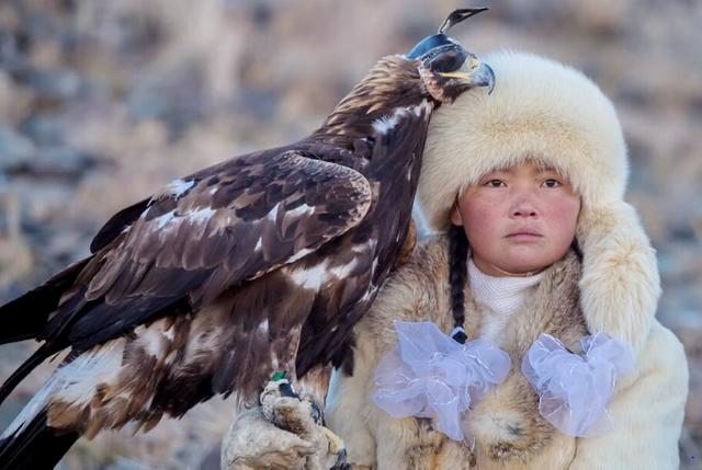 Mongolian Kazakhs Withtheir Golden Eagles Steemit