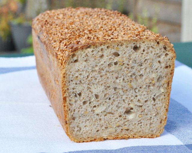 Wheat-rye