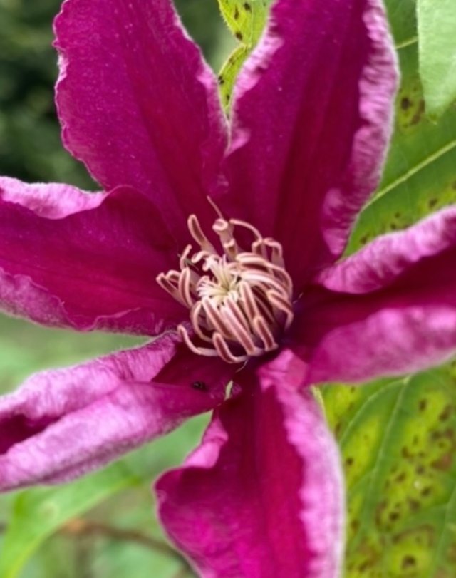 IMG_4892.jpeg