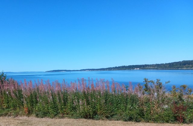 20250827_013006.jpg