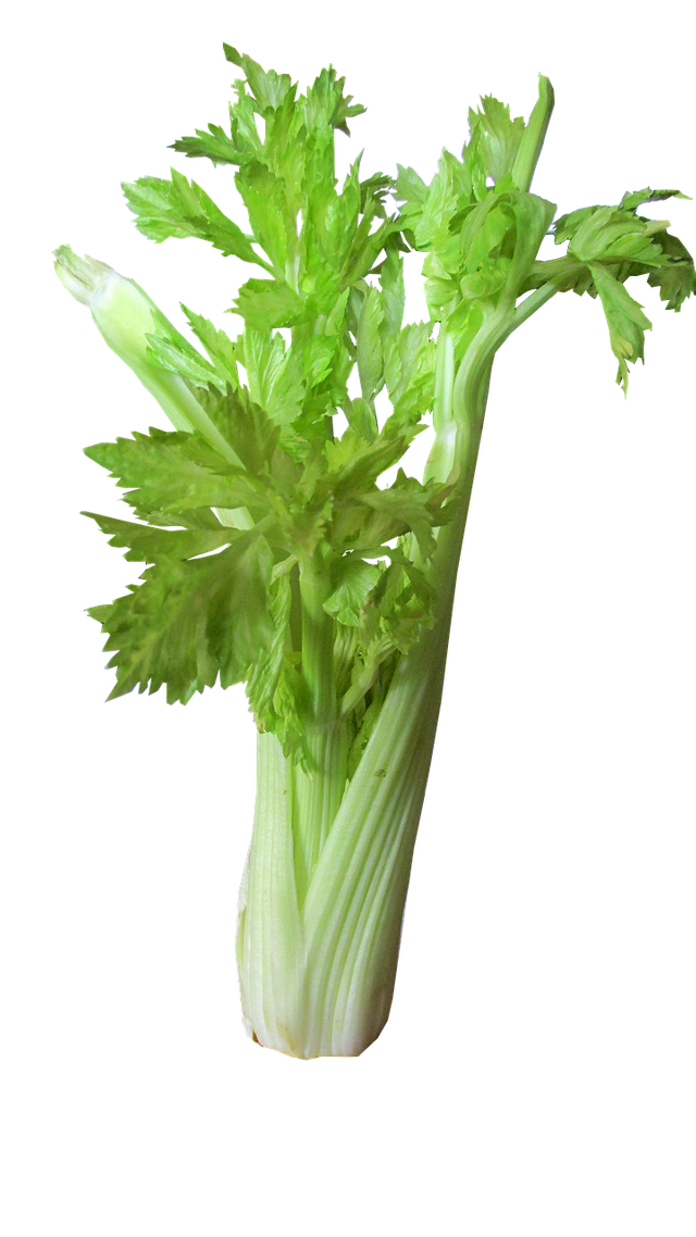 celery.png