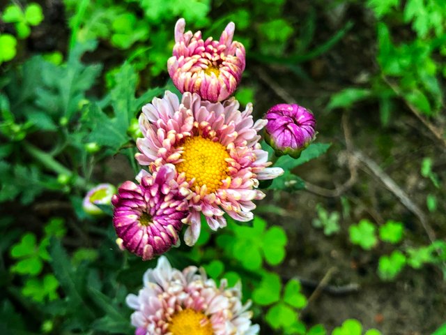 IMG_1843-01.jpeg